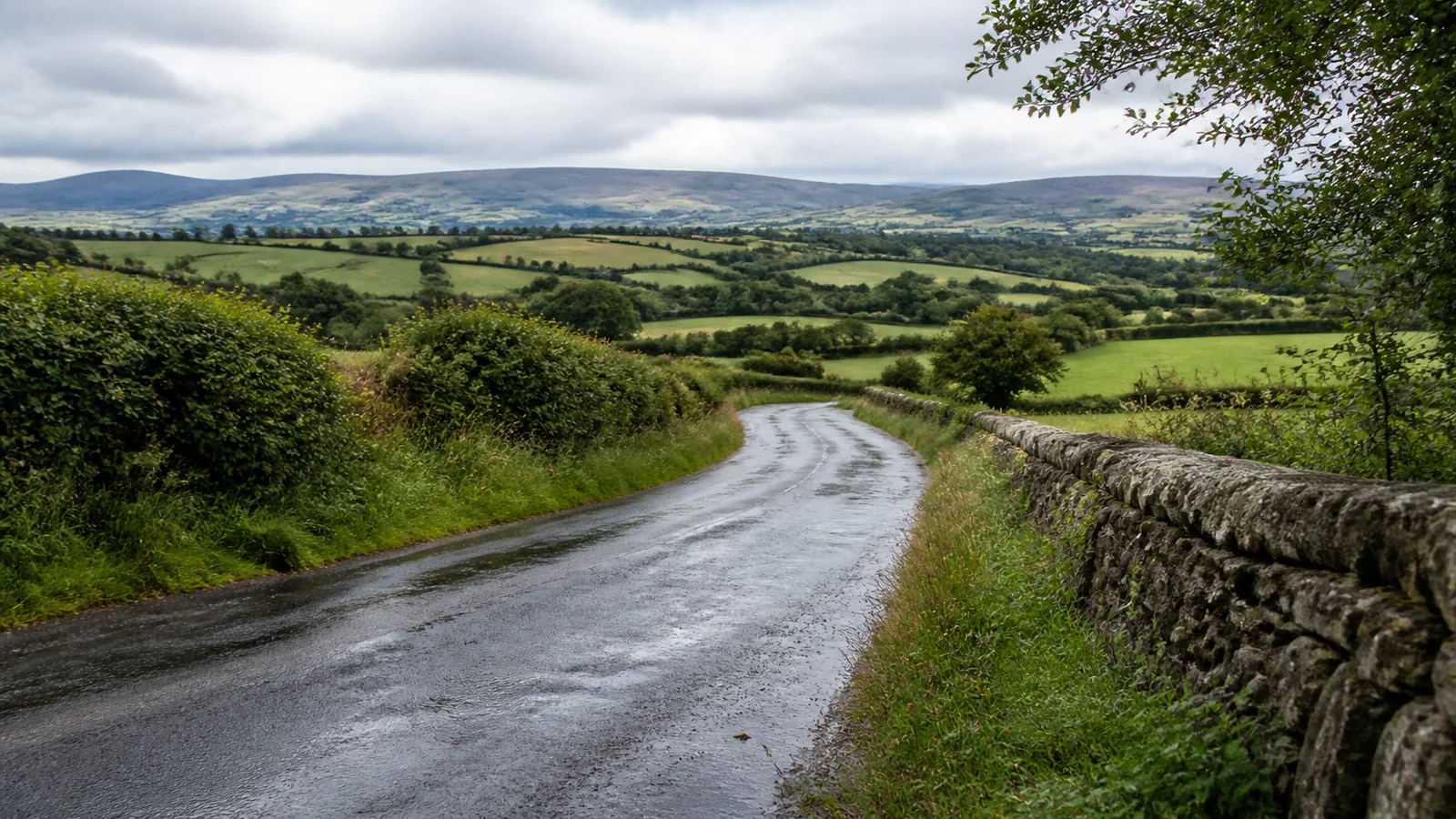 Rural County Cork road between hedgerows and stone walls after rain