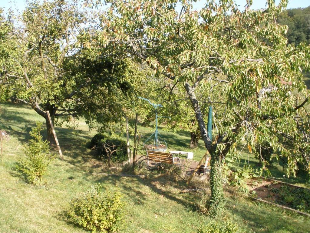 Am Jakobusweg App 3 in Bamberg — property photo 6