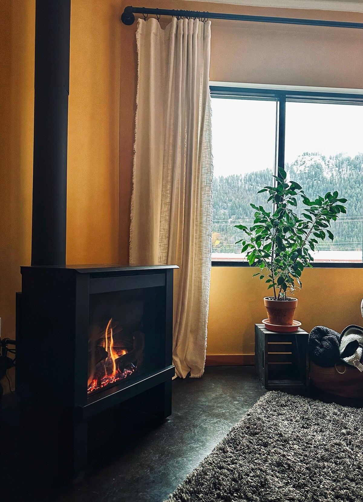 Lamplighter Guesthouse in Nelson — property photo 1