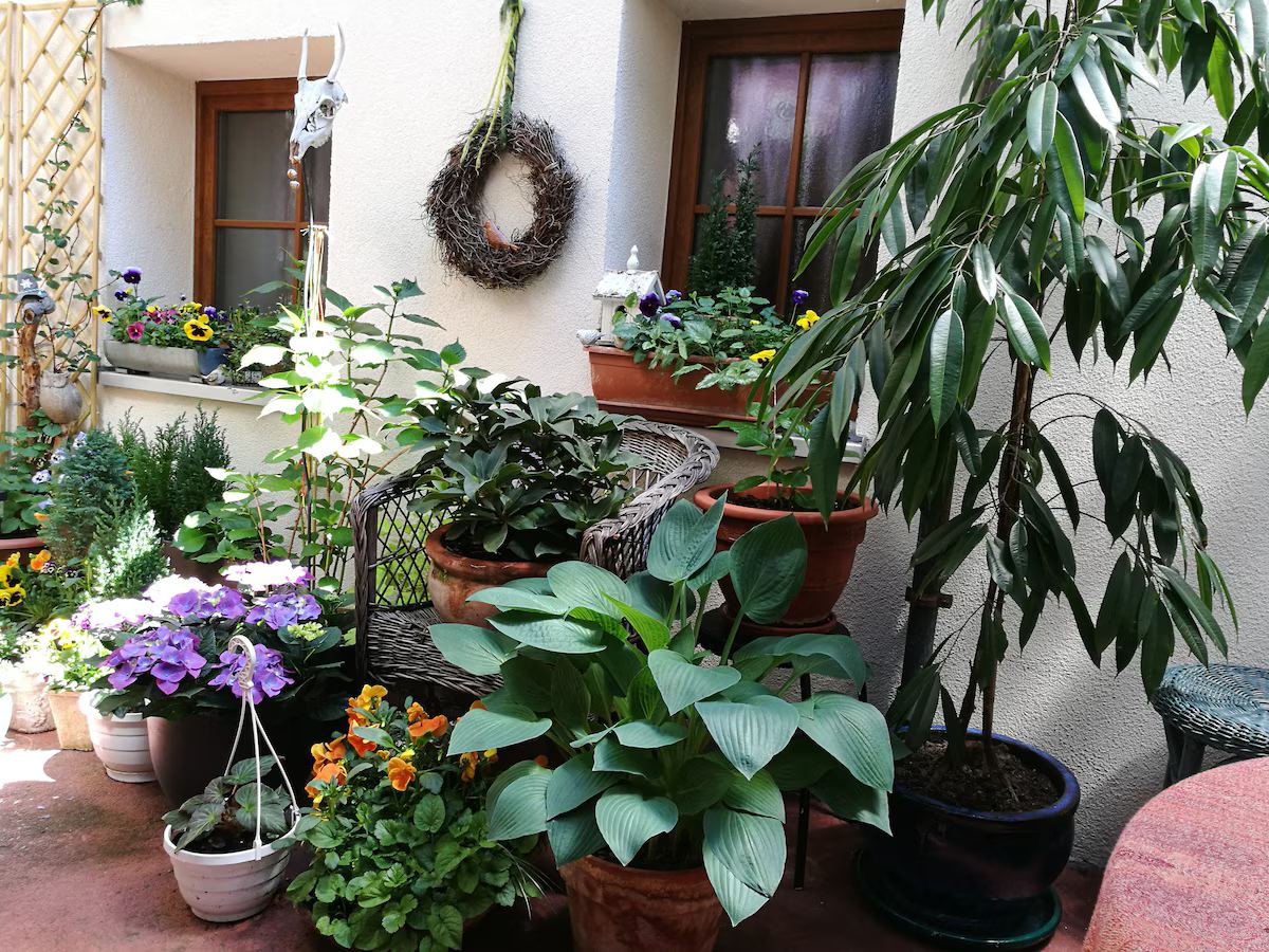 Courtyard at Ferienwohnung "Laurenzi1"-Bamberg in Bamberg