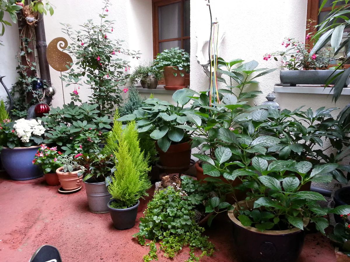 Courtyard at Ferienwohnung "Laurenzi1"-Bamberg in Bamberg
