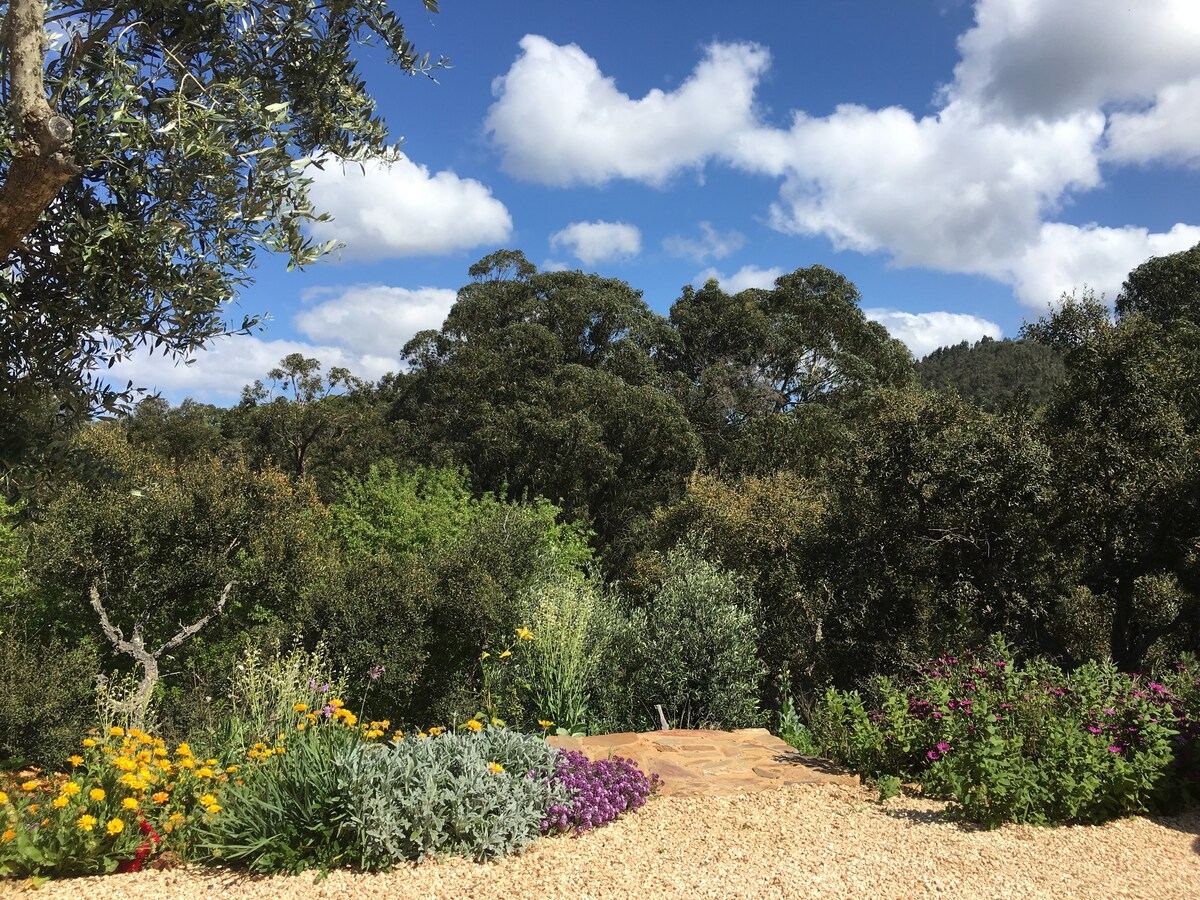 Beautiful natural view from private terrace at Quinta Tranquila in Odeceixe