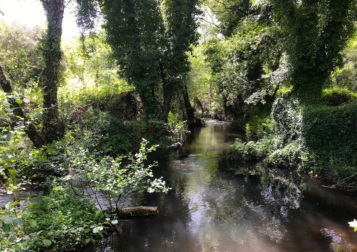 Stream at the bottom of the garden at Quinta Tranquila in Odeceixe