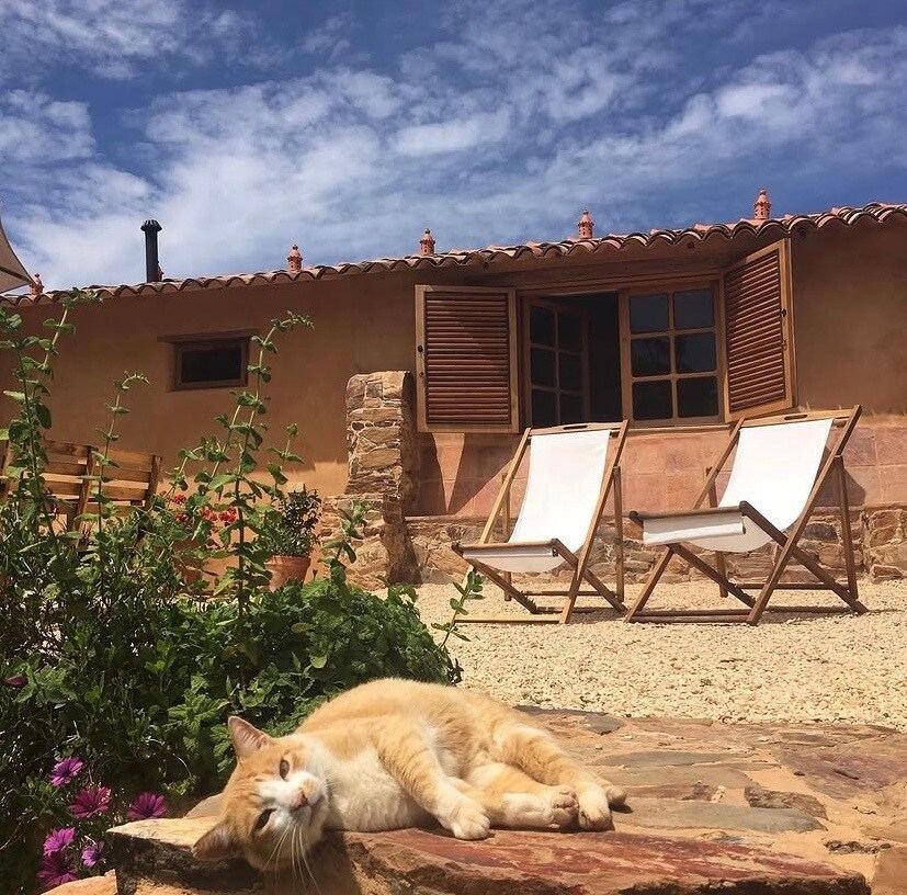 Listing image 12 at Quinta Tranquila in Odeceixe