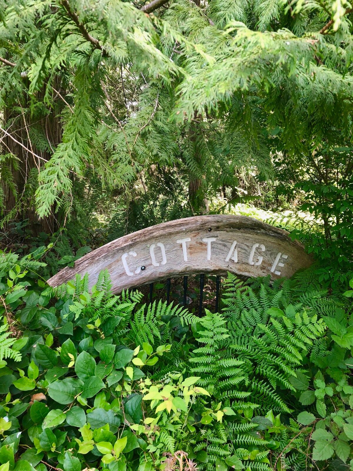 Bond Ranch Retreat in Sequim — property photo 2
