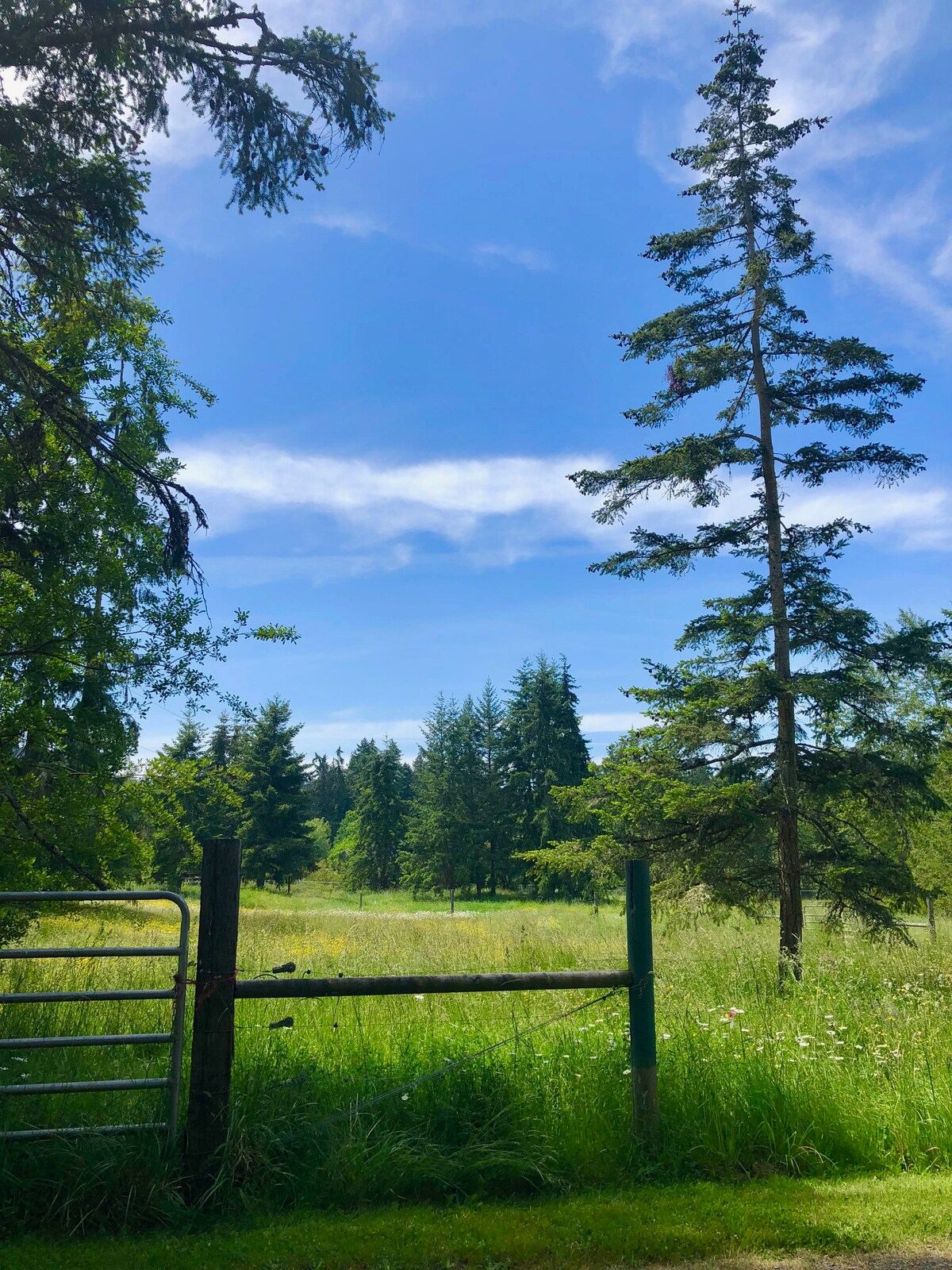 Bond Ranch Retreat in Sequim — property photo 5