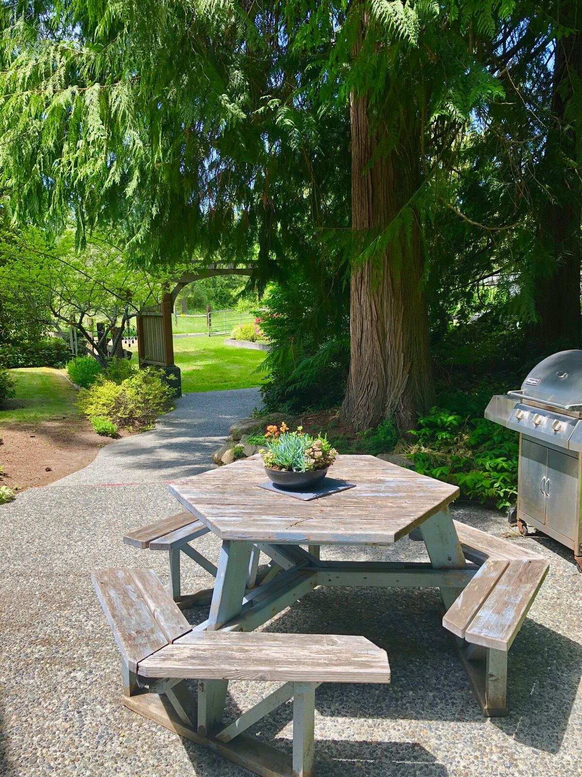 Bond Ranch Retreat in Sequim — property photo 6
